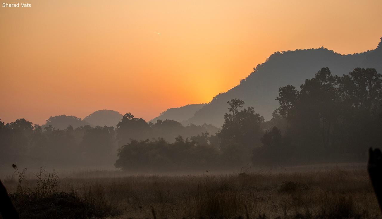 Tiger'S Den Resort Bandhavgarh National Park Esterno foto